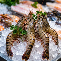 Tiger Prawn