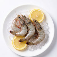 White Shrimp